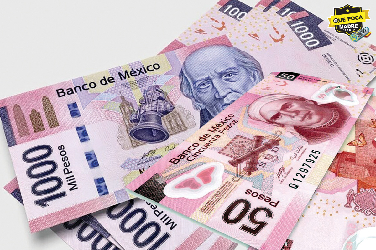 ¡Se van los viejitos! Banxico retirará de circulación billetes de 50 y 1000 pesos