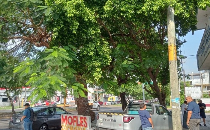 ¡PINTOR SE ELECTROCUTA ACCIDENTALMENTE POR TOCAR CABLES DE ALTA TENSIÓN EN EL PUERTO DE VERACRUZ!