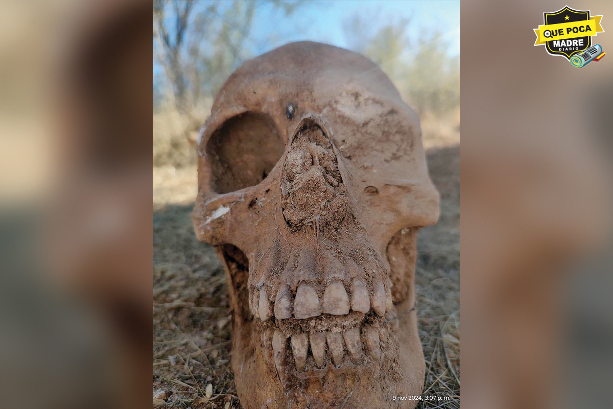 COLECTIVOS DE BÚSQUEDA DE PERSONAS DESAPARECIDAS ENCUENTRAN DECENAS DE RESTOS ÓSEOS EN SONORA