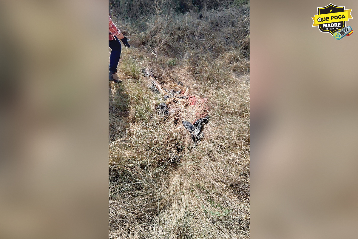 LOCALIZAN EL CUERPO DE UNA MUJER PUDRIÉNDOSE EN UN LOTE BALDÍO EN TAMAULIPAS