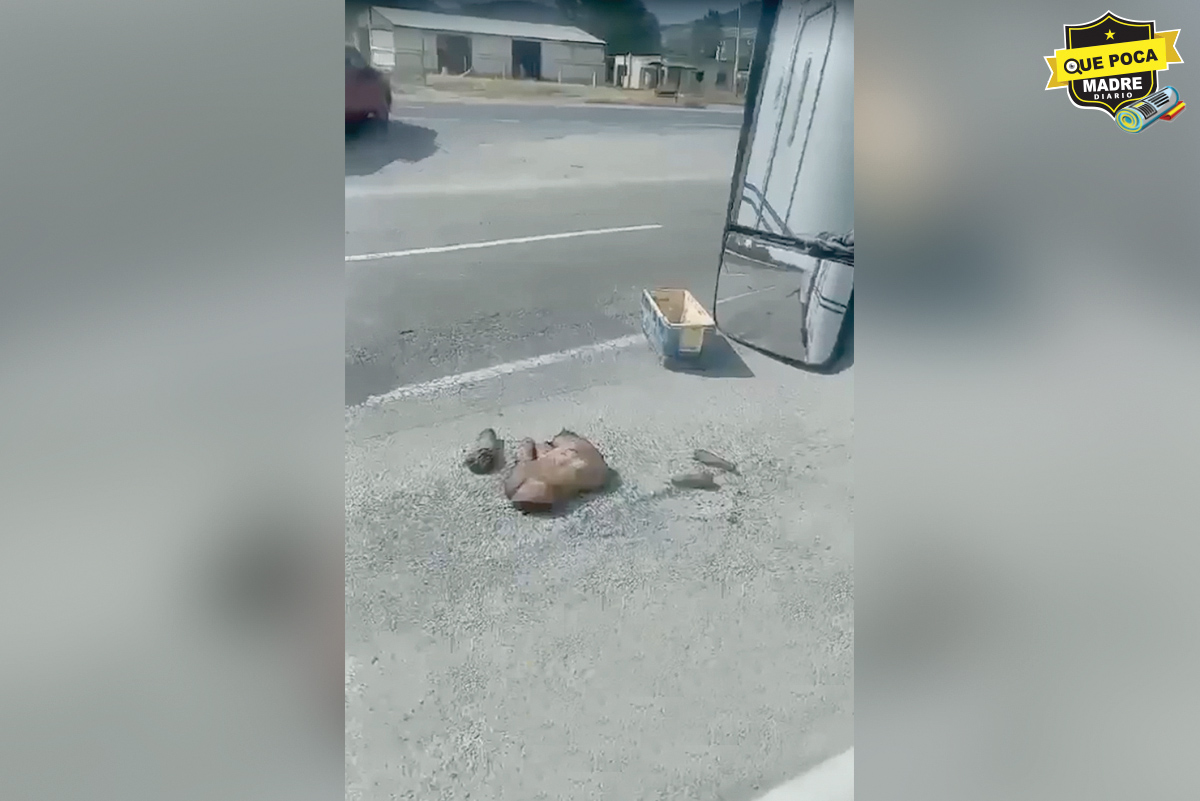 ¡LOS DEJAN EN CACHITOS! Esparcen cuerpos mutilados en plena carretera