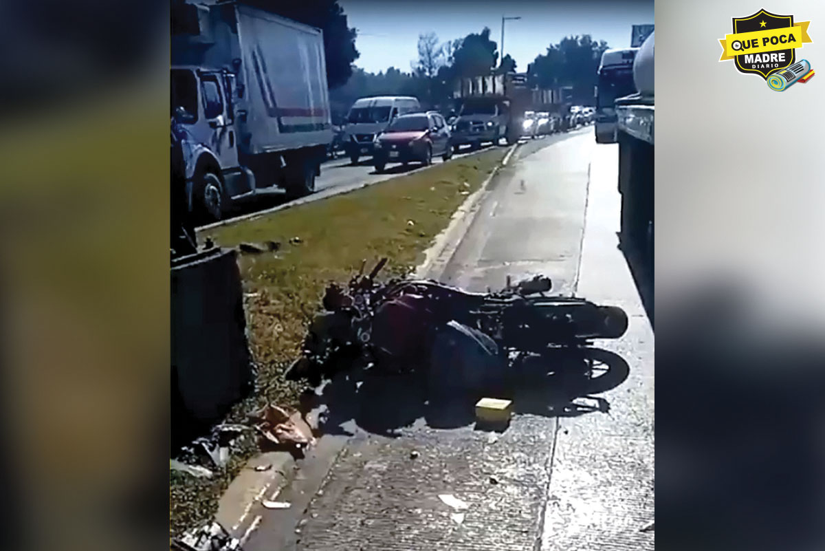 ¡SE PASÓ EL ROJO! Biker pierde la vida al estamparse contra un coche en Ecatepec