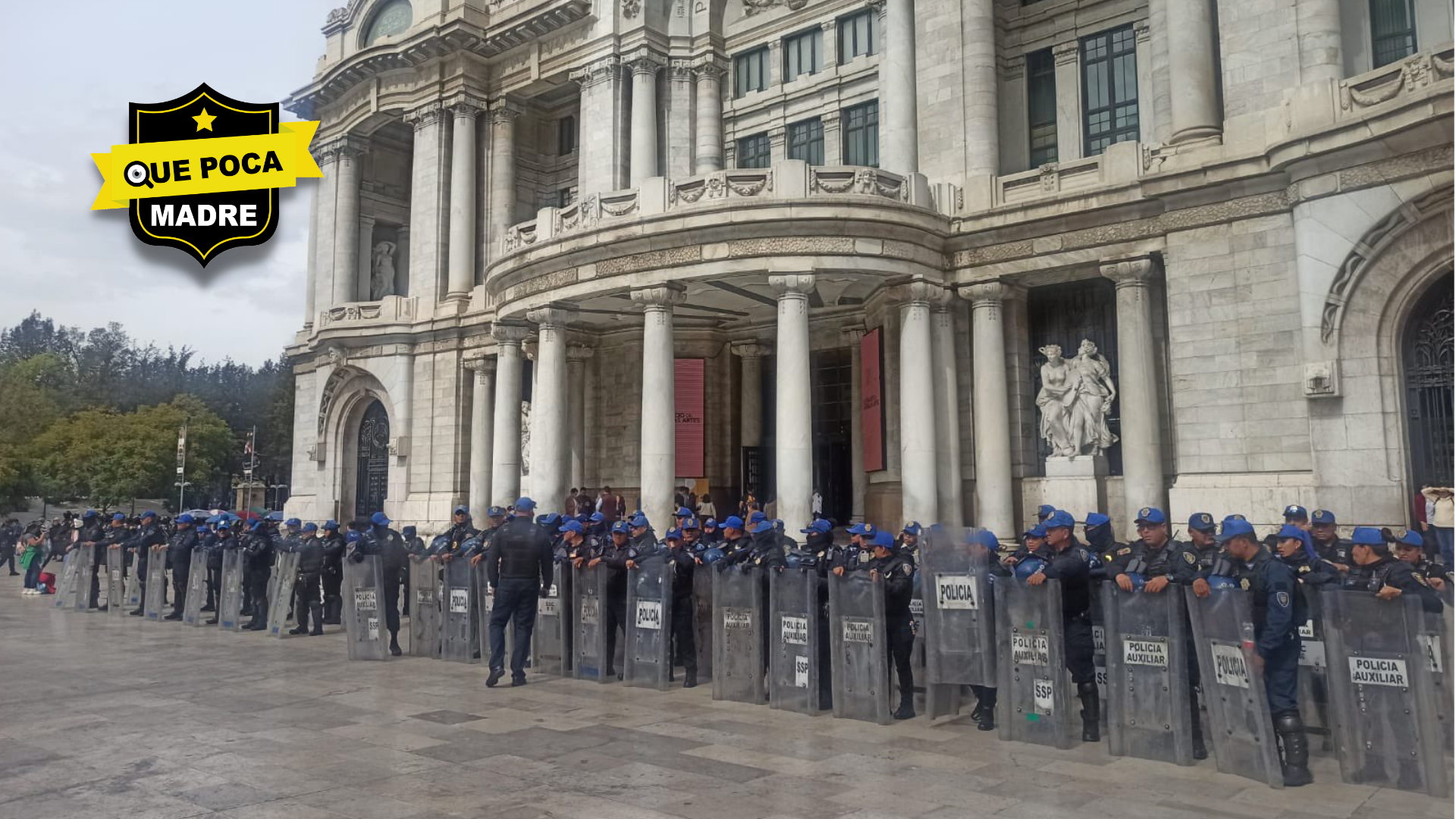 LIBERAN BELLAS ARTES DEL AMBULANTAJE