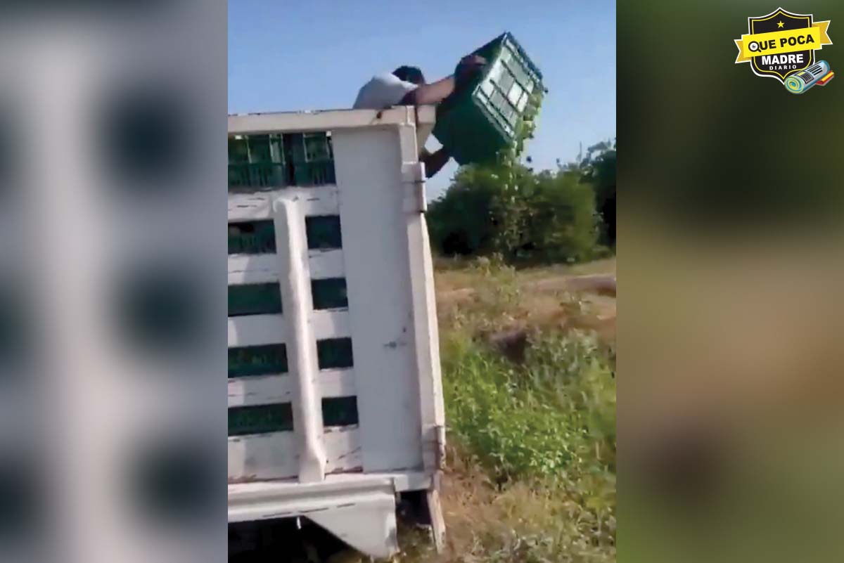 ¡NI PA’ DIOS NI PAL’ DIABLO! PRODUCTORES TIRAN LIMONES TRAS LA BAJA DE PRECIO Y LAS EXTORSIONES