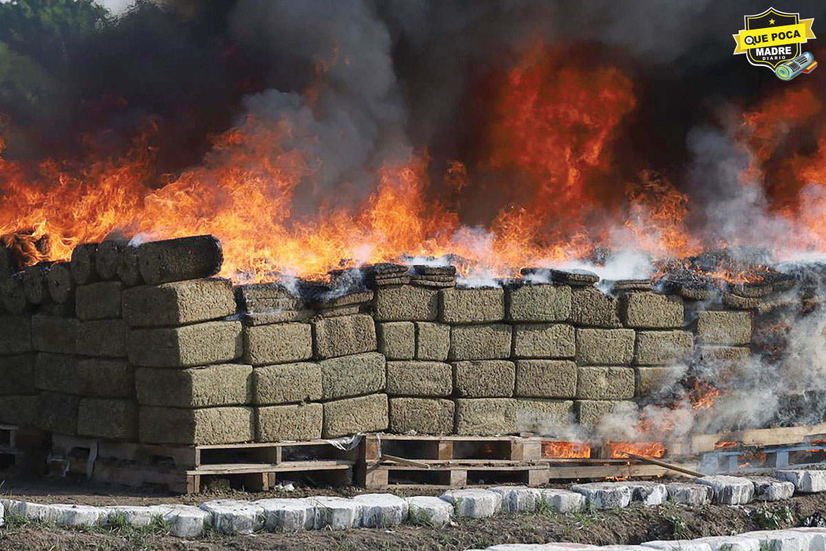 ¡Se borreguearon! FGR y SEMAR queman cerca de 5 toneladas de mota en Veracruz