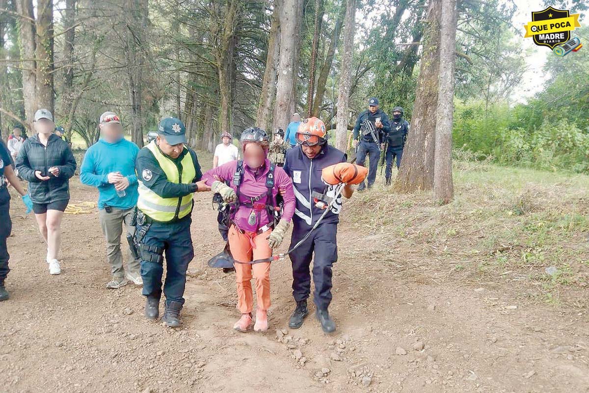 ¡SE QUEDÓ ATRAPADA! Mujer aterriza en un árbol tras caer del parapente